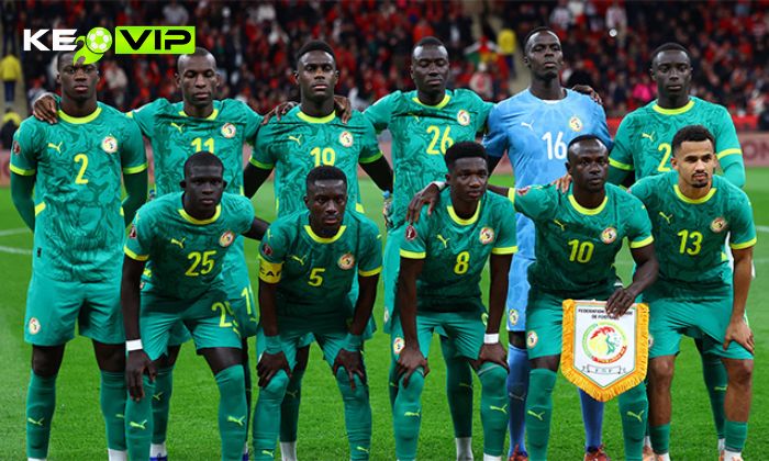 Đội tuyển Bóng đá Quốc gia Senegal